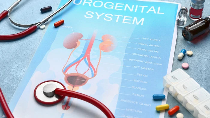 behandling og forebyggelse af urologiske sygdomme